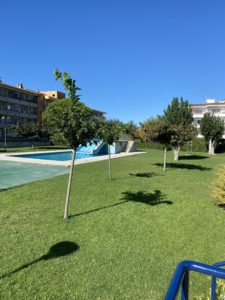 Blau Park