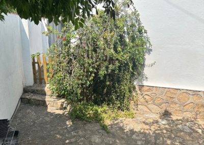 casa-azul_015