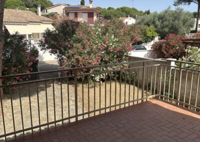 olives-25_03