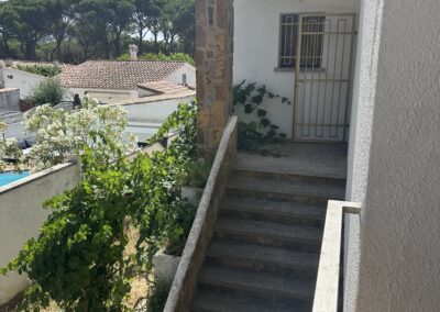 olives-25_05