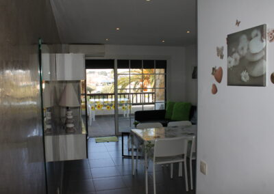 poble-amarres-vista-affic_014